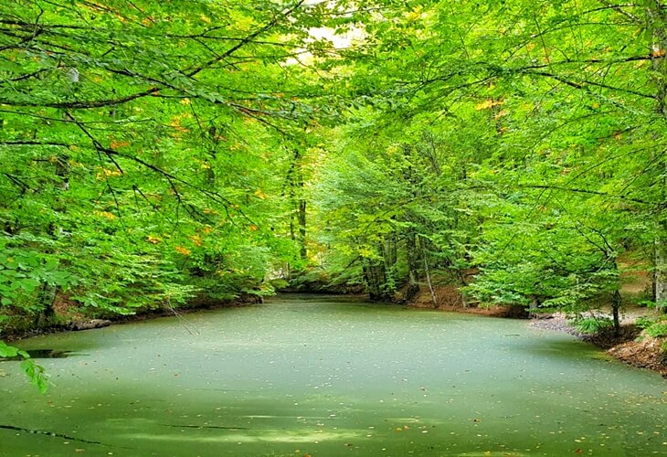 Bolu Gezi Rehberi | Bolu�da Gezilecek Yerler