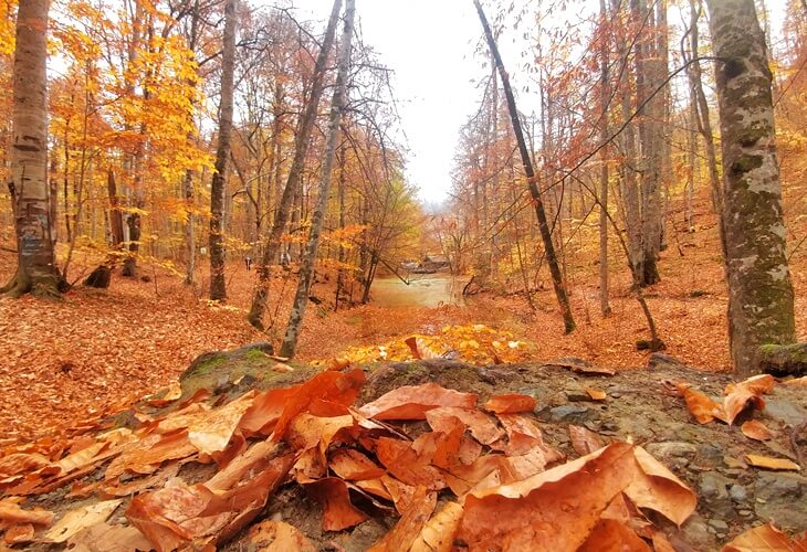 Bolu Gezi Rehberi | Bolu�da Gezilecek Yerler