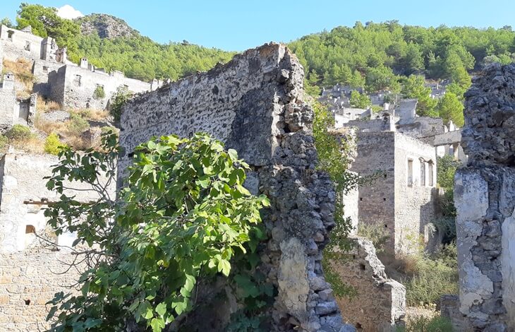 Kayaköy (Levissi)’de harabe halindeki taş evler ve ön planda incir ağacıyla çevrili doğal manzara.