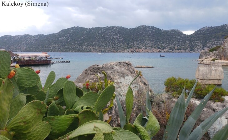 Kaleköy (Simena) sahilinde kaktüs ve sukulent bitkileri ön planda, arka planda Kekova manzarası ve tekneler