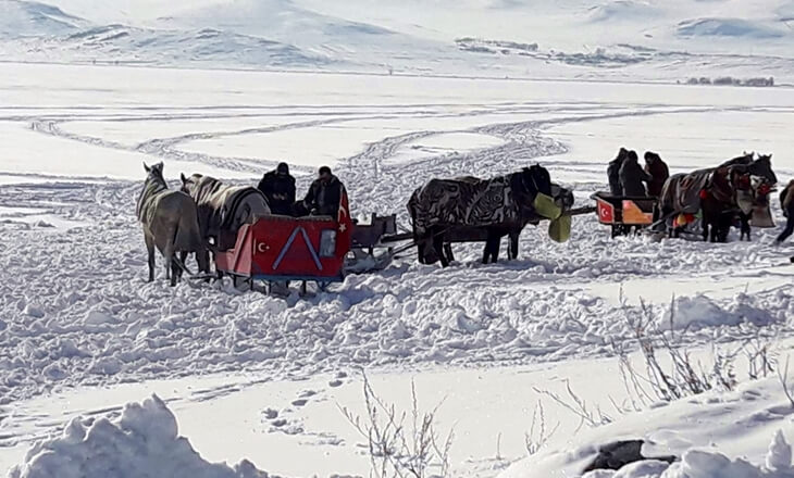 Kars Çıldır Gölü’nde karla kaplı yüzeyde ilerleyen atlı kızaklar ve kış manzarası