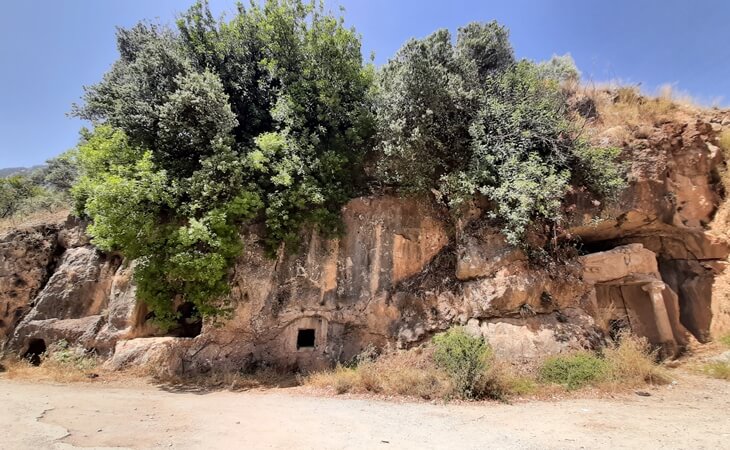Gökova’daki İdyma Antik Kenti’nde kayalara oyulmuş tarihi mezar yapıları ve üzerini saran ağaç örtüsü.