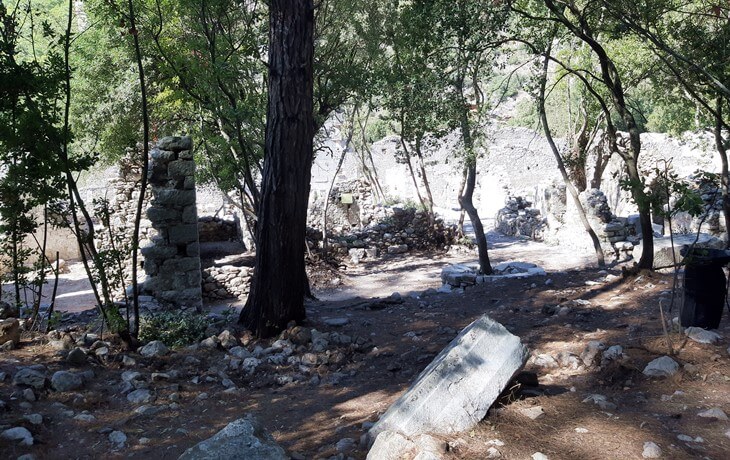 Olympos Antik Kenti’nde ağaçlar arasında yer alan, taş temel kalıntıları ve sütun parçalarıyla Piskoposluk Sarayı (Episkopeion) alanı