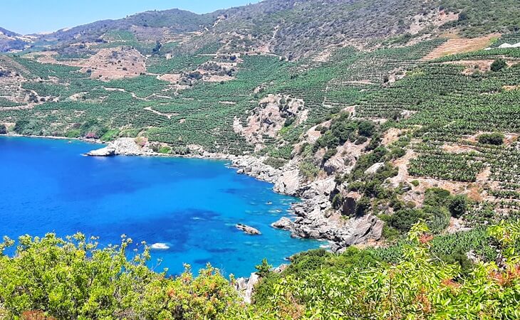 Gazipaşa kıyısında, deniz kenarındaki muz bahçeleriyle çevrili yamaçlar ve masmavi koy manzarası.
