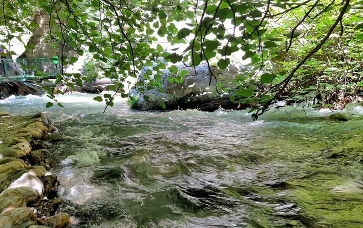 Saklıkent Kanyonu'nda ağaç dallarının gölgelediği serin ve berrak dere manzarası