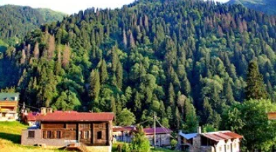Kuş Dili (Islık Dili) | Atalardan Yadigar