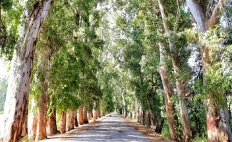 G&ouml;kova Aşıklar Yolu&rsquo;nun H&uuml;z&uuml;nl&uuml; Hikayesi