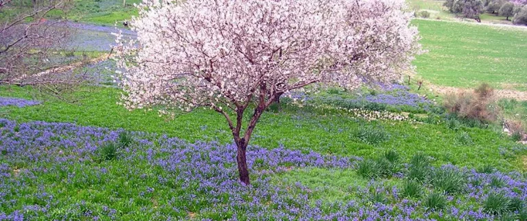 Batı Ege'nin Görülmesi Gereken 5 Güzel Köyü