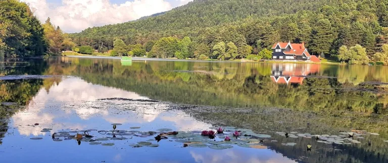 Bolu Gölcük Gölü | Gölcük Gölü Tabiat Parkı