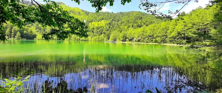 Borçka Karagöl | Artvin'in Saklı Cenneti