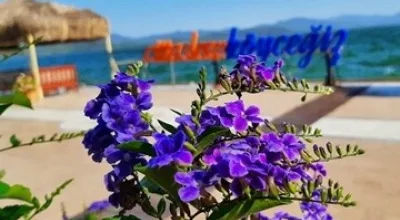 Köyceğiz Gezi Rehberi | Köyceğiz'de Gezilecek Yerler