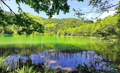 Bor&ccedil;ka Karag&ouml;l | Artvin'in Saklı Cenneti