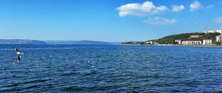Nusrat (Nusret) Mayın Gemisinin Rolü; Dünü ve Bugünü