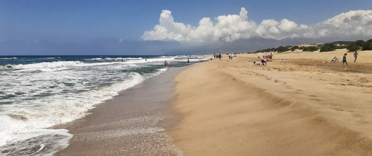 Patara Plajı Rehberi | Nerede, Nasıl Gidilir, Özellikleri