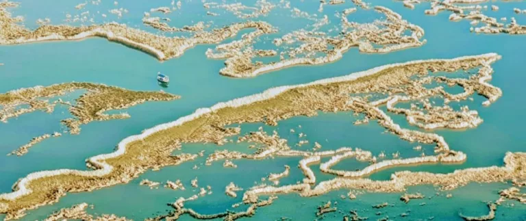 Dalyan Gezi Rehberi: İztuzu Plajı, Kaunos Antik Kenti ve Mavi Yengeçlerin Cenneti