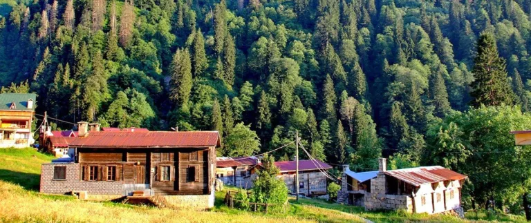 Kuş Dili (Islık Dili) | Atalardan Yadigar