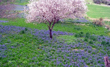 BATI EGE'NİN GÖRÜLESİ BEŞ GÜZELİ