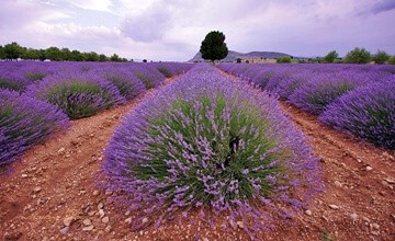 Güller ve Göller Diyarı Isparta