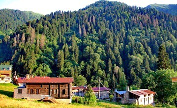 Kuş Dili (Islık Dili): Atalar’dan Kalan Yadigar