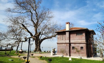Yürüyen Köşk (Yalova): Atatürk’ün Doğaya Saygısının Evi